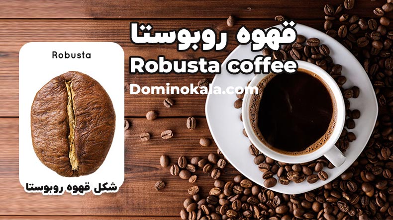 شکل قهوه روبوستا و خواص قهوه Robusta coffee - دومینو کالا بلاگ