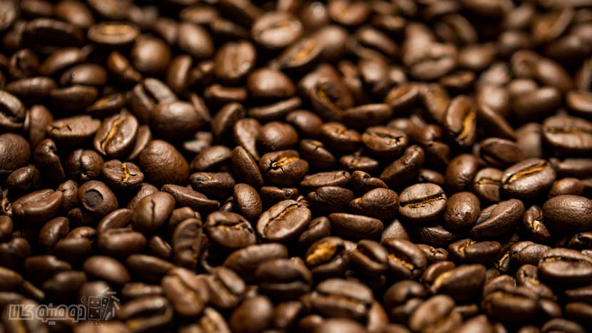 قهوه عربیکا تشکیل شده از دانه‌ های گیاه Coffea Arabica